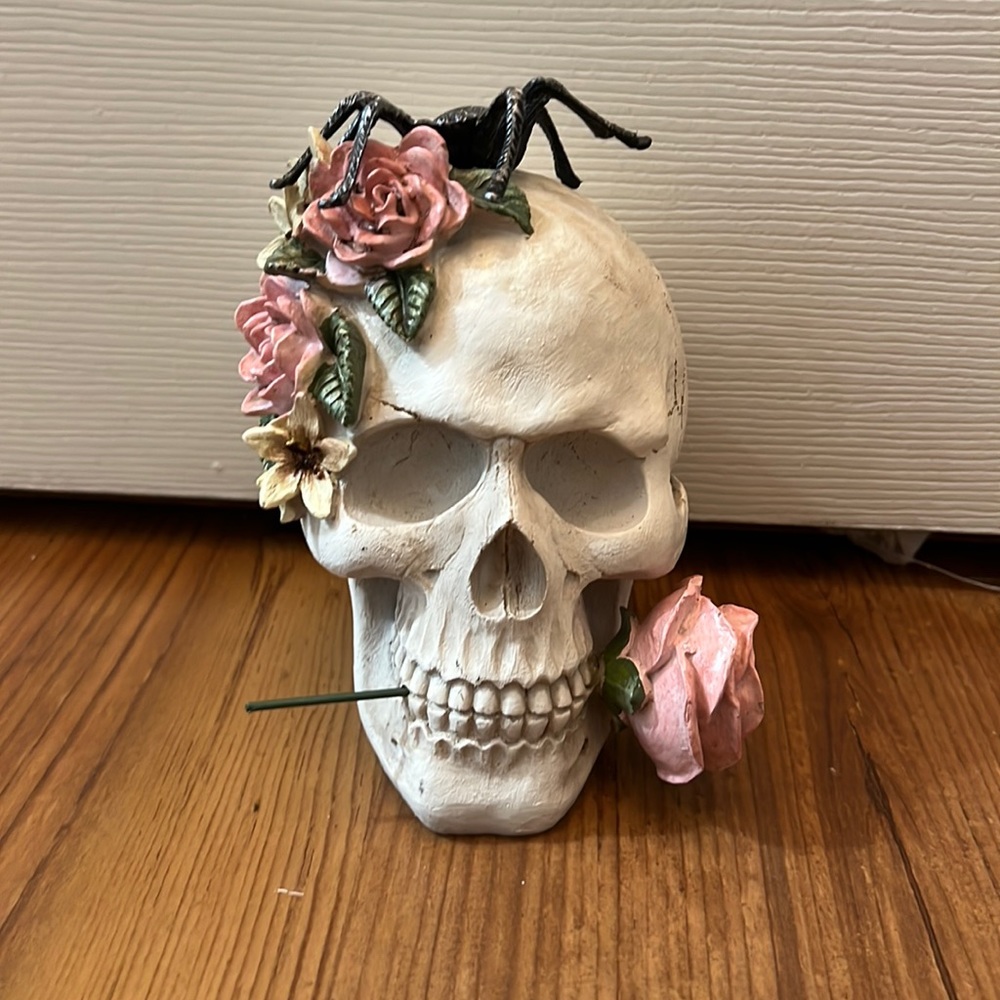 (2 for $25) Ashland Halloween Skull